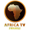 Channel logo Africa TV 2