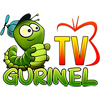 Логотип канала Gurinel TV