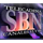 Логотип канала SBN